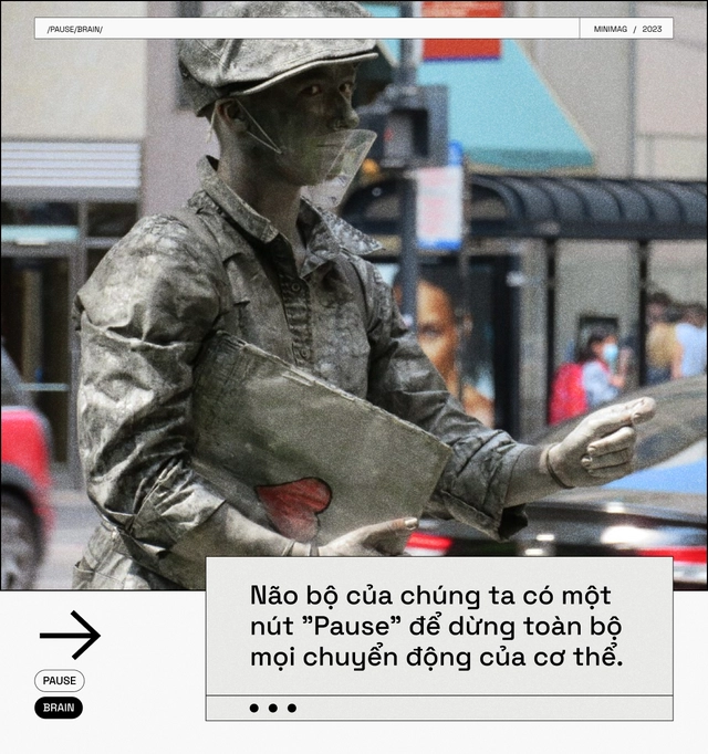 C&aacute;c nh&agrave; khoa học t&igrave;m thấy một n&uacute;t "Pause" trong n&atilde;o bộ, khi nhấn v&agrave;o, to&agrave;n bộ cơ thể bạn sẽ bất động - Ảnh 1.