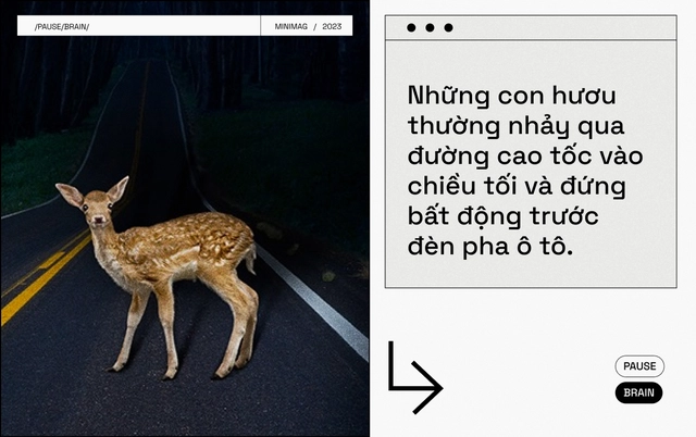 C&aacute;c nh&agrave; khoa học t&igrave;m thấy một n&uacute;t "Pause" trong n&atilde;o bộ, khi nhấn v&agrave;o, to&agrave;n bộ cơ thể bạn sẽ bất động - Ảnh 5.