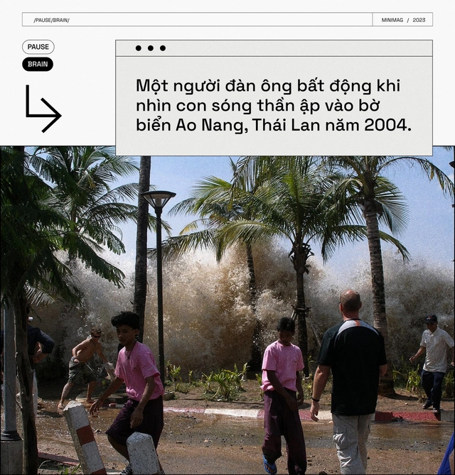 C&aacute;c nh&agrave; khoa học t&igrave;m thấy một n&uacute;t "Pause" trong n&atilde;o bộ, khi nhấn v&agrave;o, to&agrave;n bộ cơ thể bạn sẽ bất động - Ảnh 8.