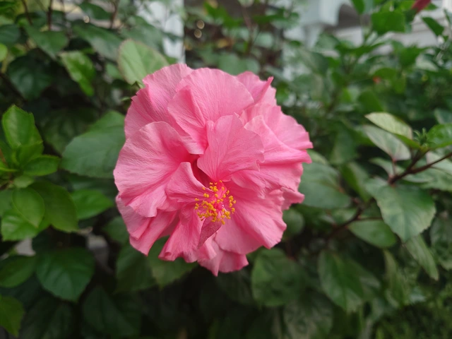 Fan Sony nói về Xperia 1 V sau 5 năm “xa cách”: Tính năng “Pro” hơn cả Pro, chụp ảnh đã hết “xấu” - Ảnh 23. Fan Sony nói về Xperia 1 V sau 5 năm “xa cách”: Tính năng “Pro” hơn cả Pro, chụp ảnh đã hết “xấu” - Ảnh 23.