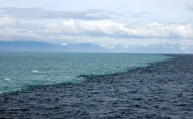 Tại sao vùng biển Đại Tây Dương và Thái Bình Dương không tương thích với nhau? - Ảnh 1. Tại sao vùng biển Đại Tây Dương và Thái Bình Dương không tương thích với nhau? - Ảnh 1.