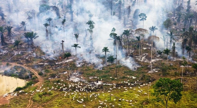 Vì sao ngành điện gió đang dần bị tẩy chay tại nhiều quốc gia trên thế giới? - Ảnh 3. Vì sao ngành điện gió đang dần bị tẩy chay tại nhiều quốc gia trên thế giới? - Ảnh 3.