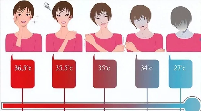 Vì sao nhiệt độ trung bình của cơ thể con người đang giảm dần? - Ảnh 3. Vì sao nhiệt độ trung bình của cơ thể con người đang giảm dần? - Ảnh 3.