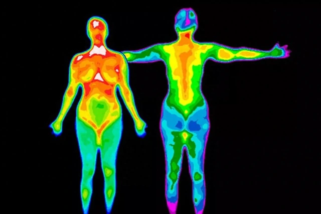 Vì sao nhiệt độ trung bình của cơ thể con người đang giảm dần? - Ảnh 5. Vì sao nhiệt độ trung bình của cơ thể con người đang giảm dần? - Ảnh 5.