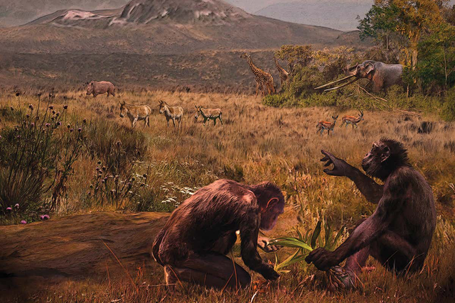 B&iacute; ẩn về nguồn gốc tr&iacute; tuệ con người: H&eacute; lộ b&iacute; ẩn nhiễm sắc thể 2 v&agrave; những n&uacute;t thắt nh&oacute;m- Ảnh 3.