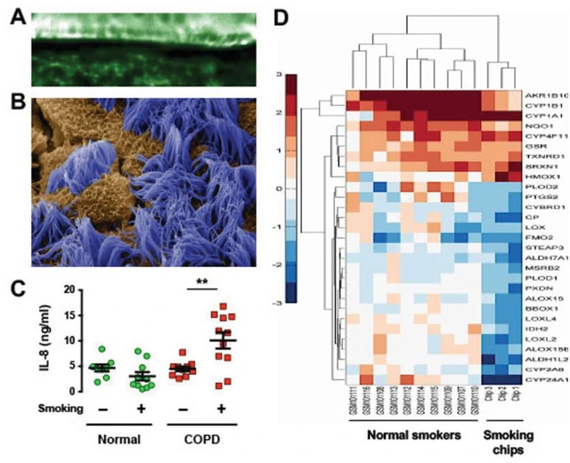 Các mạch dẫn điện được tạo ra trong cơ thể con người và rào cản giữa thế giới kỹ thuật số và thế giới thực sắp biến mất!- Ảnh 2. Các mạch dẫn điện được tạo ra trong cơ thể con người và rào cản giữa thế giới kỹ thuật số và thế giới thực sắp biến mất!- Ảnh 2.