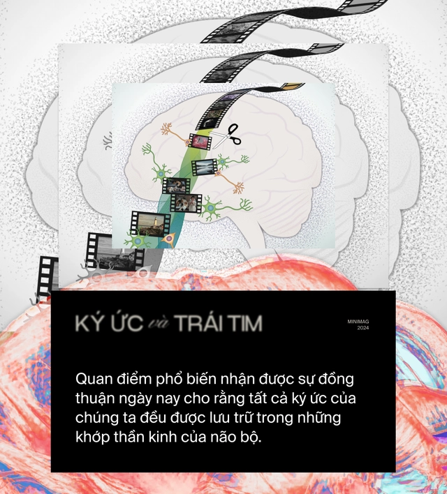 Nếu k&yacute; ức tồn tại trong tr&aacute;i tim: Liệu một phần người hiến tim vẫn c&ograve;n sống, b&ecirc;n trong cơ thể người nhận tạng gh&eacute;p?- Ảnh 4.