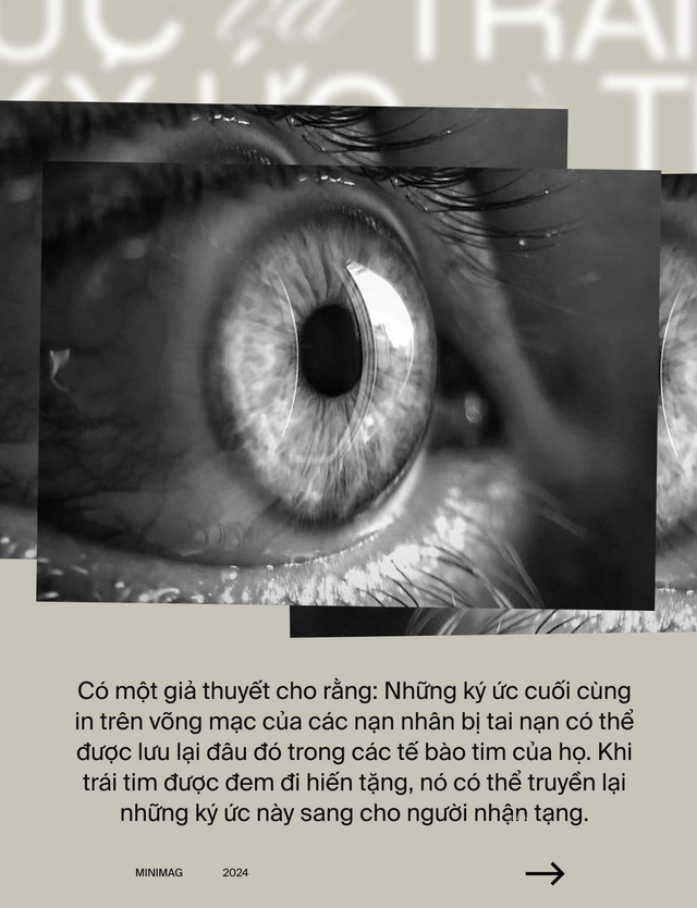 Nếu k&yacute; ức tồn tại trong tr&aacute;i tim: Liệu một phần người hiến tim vẫn c&ograve;n sống, b&ecirc;n trong cơ thể người nhận tạng gh&eacute;p?- Ảnh 9.