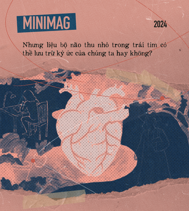 Khoa học hay t&acirc;m linh: Lời giải th&iacute;ch n&agrave;o cho những k&yacute; ức song song của người hiến tặng v&agrave; người nhận tạng gh&eacute;p?- Ảnh 13.