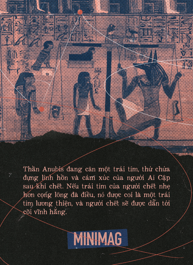 Khoa học hay t&acirc;m linh: Lời giải th&iacute;ch n&agrave;o cho những k&yacute; ức song song của người hiến tặng v&agrave; người nhận tạng gh&eacute;p?- Ảnh 10.