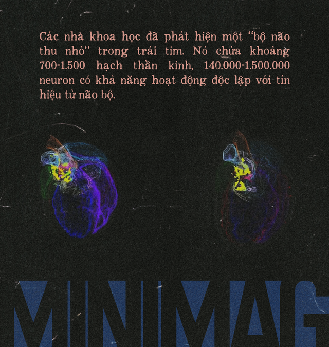 Khoa học hay t&acirc;m linh: Lời giải th&iacute;ch n&agrave;o cho những k&yacute; ức song song của người hiến tặng v&agrave; người nhận tạng gh&eacute;p?- Ảnh 12.