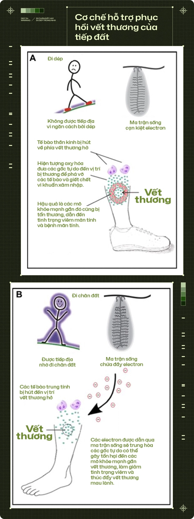 20 năm trôi qua, tôi chẳng còn thấy ai đi chân đất trong nhà, còn những đôi dép nhựa thì xâm chiếm cả thế giới- Ảnh 14. 20 năm trôi qua, tôi chẳng còn thấy ai đi chân đất trong nhà, còn những đôi dép nhựa thì xâm chiếm cả thế giới- Ảnh 14.