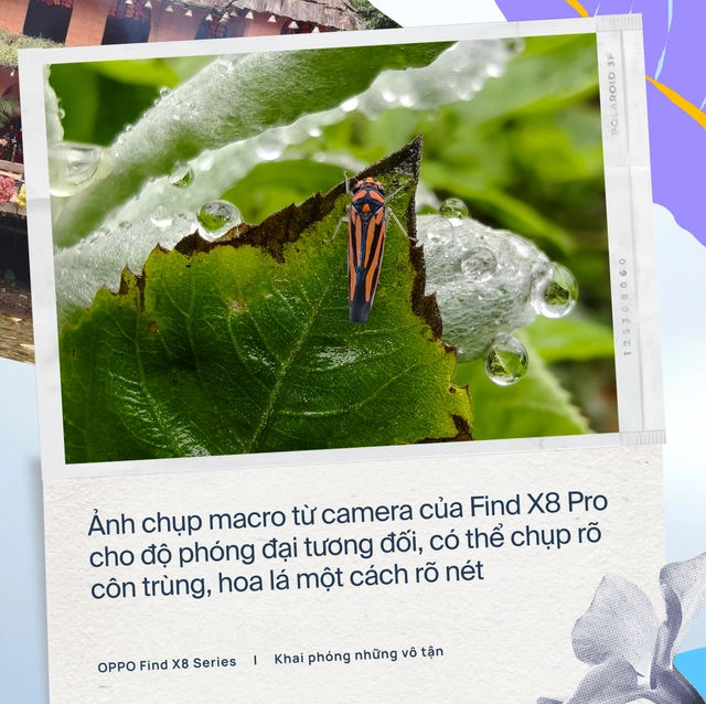 OPPO Find X8 Pro: Flagship với camera đột ph&aacute; v&agrave; to&agrave;n diện- Ảnh 7.