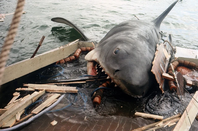 Tại sao thứ mà không quân sợ nhất trong thế kỷ trước lạ là cá mập?- Ảnh 2. Tại sao thứ mà không quân sợ nhất trong thế kỷ trước lạ là cá mập?- Ảnh 2.