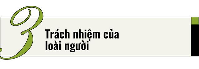 Mèo của bạn ở nhà ngoan lắm, nhưng một khi lẻn được ra ngoài, chúng sẽ trở thành nỗi khiếp sợ của hệ sinh thái- Ảnh 13. Mèo của bạn ở nhà ngoan lắm, nhưng một khi lẻn được ra ngoài, chúng sẽ trở thành nỗi khiếp sợ của hệ sinh thái- Ảnh 13.