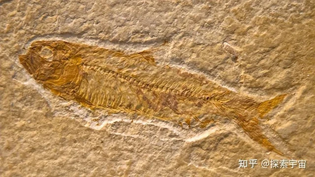 Kết hợp bằng chứng khảo cổ và địa chất, trận lụt thời tiền sử có thể không chỉ là huyền thoại- Ảnh 1. Kết hợp bằng chứng khảo cổ và địa chất, trận lụt thời tiền sử có thể không chỉ là huyền thoại- Ảnh 1.