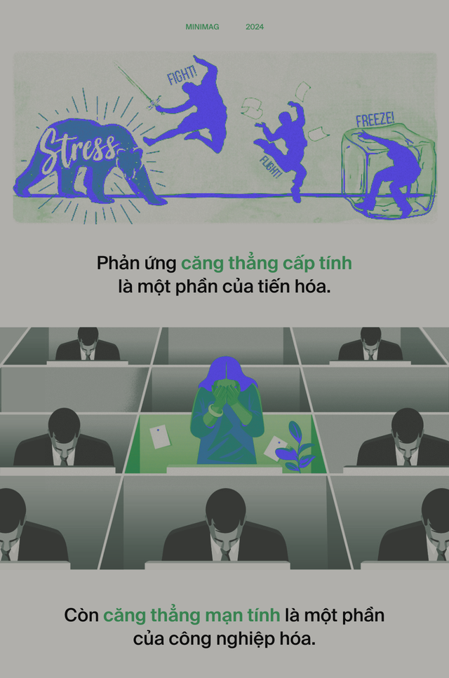 Ai đ&atilde; "ph&aacute;t minh" ra stress: T&aacute;c nh&acirc;n của 80% bệnh tật tr&ecirc;n đời, bao gồm cả ung thư?- Ảnh 12.