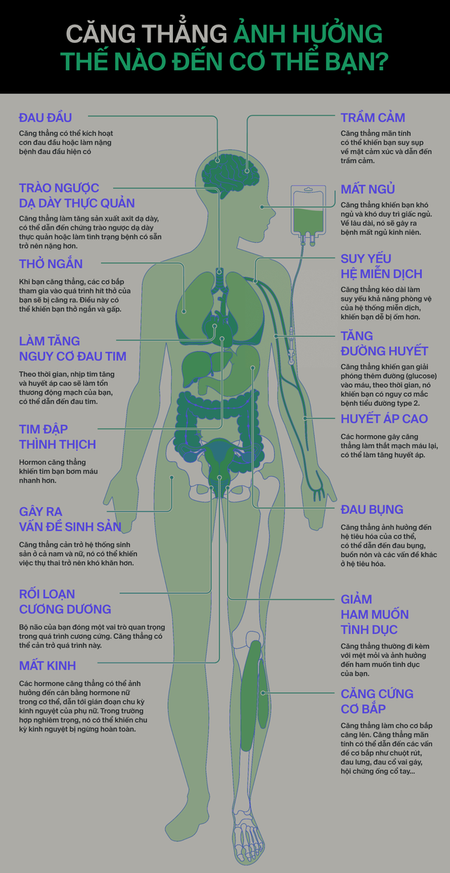 Ai đ&atilde; "ph&aacute;t minh" ra stress: T&aacute;c nh&acirc;n của 80% bệnh tật tr&ecirc;n đời, bao gồm cả ung thư?- Ảnh 13.