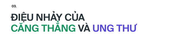 Ai đ&atilde; "ph&aacute;t minh" ra stress: T&aacute;c nh&acirc;n của 80% bệnh tật tr&ecirc;n đời, bao gồm cả ung thư?- Ảnh 14.