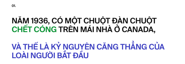 Ai đ&atilde; "ph&aacute;t minh" ra stress: T&aacute;c nh&acirc;n của 80% bệnh tật tr&ecirc;n đời, bao gồm cả ung thư?- Ảnh 3.