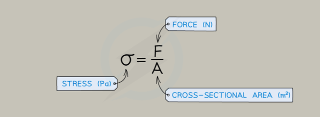 Ai đ&atilde; "ph&aacute;t minh" ra stress: T&aacute;c nh&acirc;n của 80% bệnh tật tr&ecirc;n đời, bao gồm cả ung thư?- Ảnh 4.