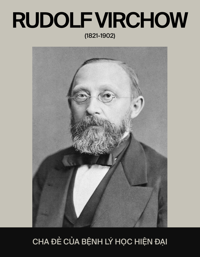 Ai đ&atilde; "ph&aacute;t minh" ra stress: T&aacute;c nh&acirc;n của 80% bệnh tật tr&ecirc;n đời, bao gồm cả ung thư?- Ảnh 7.