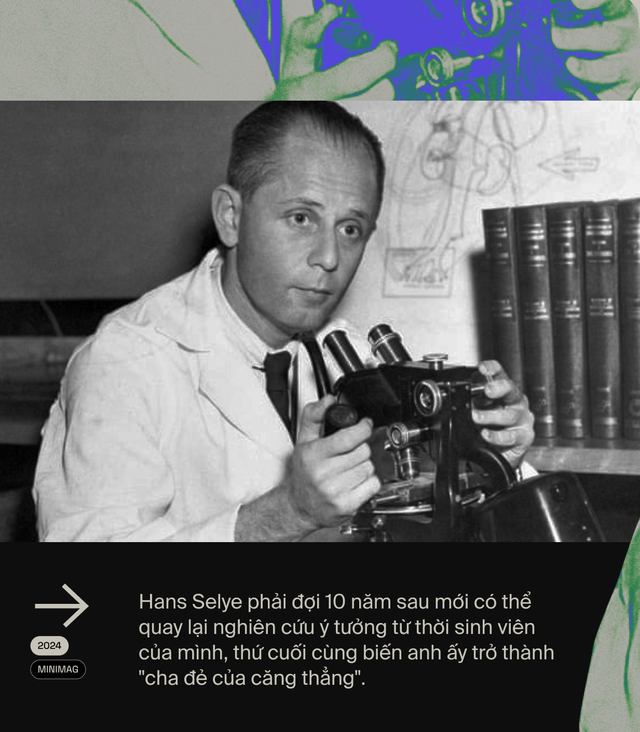 Ai đ&atilde; "ph&aacute;t minh" ra stress: T&aacute;c nh&acirc;n của 80% bệnh tật tr&ecirc;n đời, bao gồm cả ung thư?- Ảnh 8.