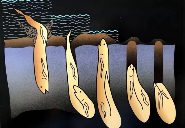 Loài cá kỳ lạ nhất châu Phi: Ẩn mình dưới lòng đất nhiều năm không cần ăn uống nhưng vẫn không thể thoát khỏi bàn tay của con người- Ảnh 3. Loài cá kỳ lạ nhất châu Phi: Ẩn mình dưới lòng đất nhiều năm không cần ăn uống nhưng vẫn không thể thoát khỏi bàn tay của con người- Ảnh 3.