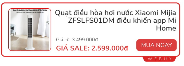 Bật điều hòa thoải mái mà vẫn tiết kiệm tiền nhờ món đồ ai cũng biết nhưng ít dùng- Ảnh 3. Bật điều hòa thoải mái mà vẫn tiết kiệm tiền nhờ món đồ ai cũng biết nhưng ít dùng- Ảnh 3.