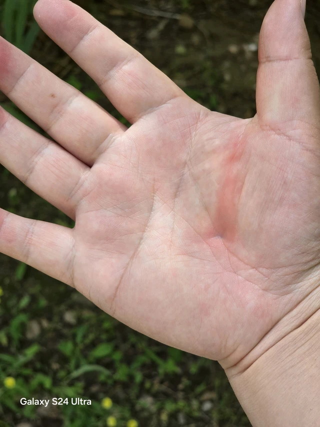 Galaxy S25 Ultra sẽ không còn khiến người dùng bị đau tay- Ảnh 2. Galaxy S25 Ultra sẽ không còn khiến người dùng bị đau tay- Ảnh 2.