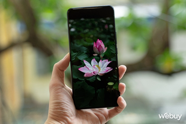 Mang Xiaomi 14 Ultra đi Ninh Bình chụp sen: Nhiều mức zoom lợi thế vô cùng, chụp macro rất vui nhưng có 1 điểm trừ to cần xử lý gấp- Ảnh 25. Mang Xiaomi 14 Ultra đi Ninh Bình chụp sen: Nhiều mức zoom lợi thế vô cùng, chụp macro rất vui nhưng có 1 điểm trừ to cần xử lý gấp- Ảnh 25.