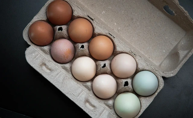 Tại sao trứng g&agrave; lại c&oacute; nhiều m&agrave;u sắc kh&aacute;c nhau?- Ảnh 1.
