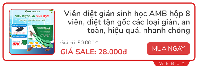 Giải quyết nỗi ám ảnh loại gián "bất tử" chỉ với 13.000 đồng- Ảnh 5. Giải quyết nỗi ám ảnh loại gián "bất tử" chỉ với 13.000 đồng- Ảnh 5.