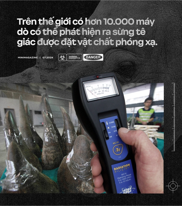 Nam Phi đặt chất phóng xạ vào sừng tê giác: Lời cảnh tỉnh cho các thị trường tiêu thụ bột sừng như Việt Nam- Ảnh 5. Nam Phi đặt chất phóng xạ vào sừng tê giác: Lời cảnh tỉnh cho các thị trường tiêu thụ bột sừng như Việt Nam- Ảnh 5.