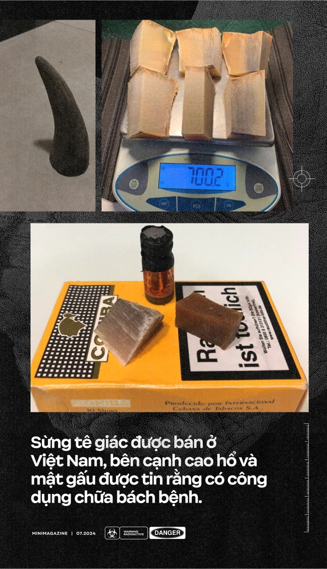 Nam Phi đặt chất phóng xạ vào sừng tê giác: Lời cảnh tỉnh cho các thị trường tiêu thụ bột sừng như Việt Nam- Ảnh 8. Nam Phi đặt chất phóng xạ vào sừng tê giác: Lời cảnh tỉnh cho các thị trường tiêu thụ bột sừng như Việt Nam- Ảnh 8.