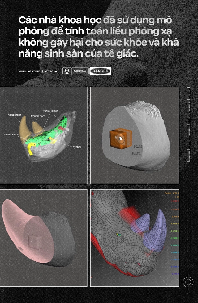 Nam Phi đặt chất phóng xạ vào sừng tê giác: Lời cảnh tỉnh cho các thị trường tiêu thụ bột sừng như Việt Nam- Ảnh 18. Nam Phi đặt chất phóng xạ vào sừng tê giác: Lời cảnh tỉnh cho các thị trường tiêu thụ bột sừng như Việt Nam- Ảnh 18.