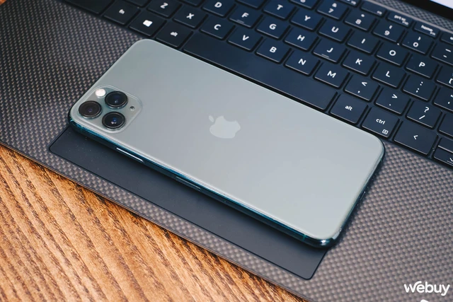 Từng có giá bằng chiếc SH, mẫu laptop Dell màn hình 4K, card NVIDIA Quadro này giờ chỉ còn ngang chiếc Wave- Ảnh 23. Từng có giá bằng chiếc SH, mẫu laptop Dell màn hình 4K, card NVIDIA Quadro này giờ chỉ còn ngang chiếc Wave- Ảnh 23.