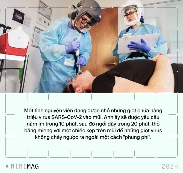 Thí nghiệm lịch sử với COVID: 36 người được trả hơn 5 tỷ đồng để nhỏ virus có độc lực vào mũi. Nếu là bạn, bạn có dám thử không?- Ảnh 5. Thí nghiệm lịch sử với COVID: 36 người được trả hơn 5 tỷ đồng để nhỏ virus có độc lực vào mũi. Nếu là bạn, bạn có dám thử không?- Ảnh 5.