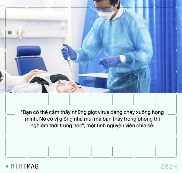 Thí nghiệm lịch sử với COVID: 36 người được trả hơn 5 tỷ đồng để nhỏ virus có độc lực vào mũi. Nếu là bạn, bạn có dám thử không?- Ảnh 1. Thí nghiệm lịch sử với COVID: 36 người được trả hơn 5 tỷ đồng để nhỏ virus có độc lực vào mũi. Nếu là bạn, bạn có dám thử không?- Ảnh 1.