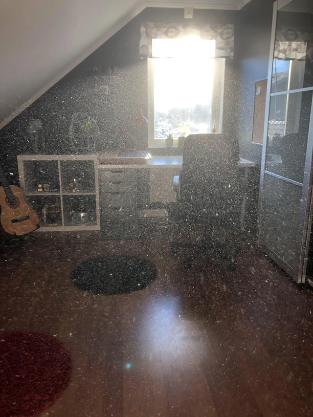 Mua máy lọc không khí hay máy cấp khí tươi: Đắt có xắt ra miếng?- Ảnh 1. Mua máy lọc không khí hay máy cấp khí tươi: Đắt có xắt ra miếng?- Ảnh 1.