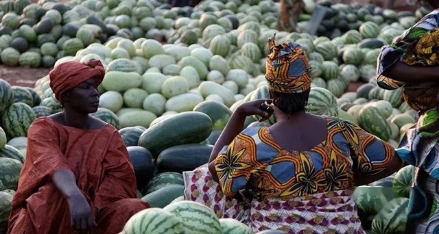 Nguồn gốc thực sự của dưa hấu ở đâu?- Ảnh 3. Nguồn gốc thực sự của dưa hấu ở đâu?- Ảnh 3.