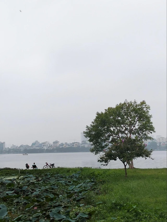 Đánh giá OPPO A3 - smartphone siêu bền, giá siêu "hời" nhưng vẫn có sạc nhanh 45W, thiết kế đẹp- Ảnh 18. Đánh giá OPPO A3 - smartphone siêu bền, giá siêu "hời" nhưng vẫn có sạc nhanh 45W, thiết kế đẹp- Ảnh 18.