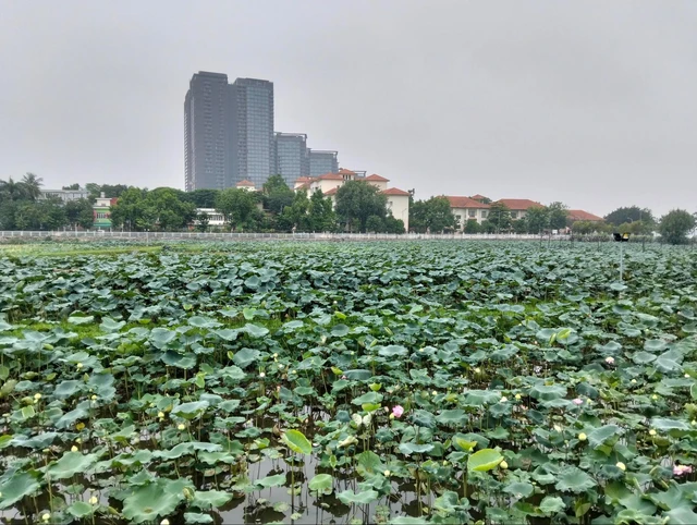 Đánh giá OPPO A3 - smartphone siêu bền, giá siêu "hời" nhưng vẫn có sạc nhanh 45W, thiết kế đẹp- Ảnh 19. Đánh giá OPPO A3 - smartphone siêu bền, giá siêu "hời" nhưng vẫn có sạc nhanh 45W, thiết kế đẹp- Ảnh 19.