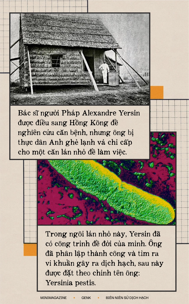 Một biên niên sử về dịch hạch tại Việt Nam và "Cái chết đen" từng xóa sổ 50% dân số Châu Âu trong quá khứ- Ảnh 20. Một biên niên sử về dịch hạch tại Việt Nam và "Cái chết đen" từng xóa sổ 50% dân số Châu Âu trong quá khứ- Ảnh 20.
