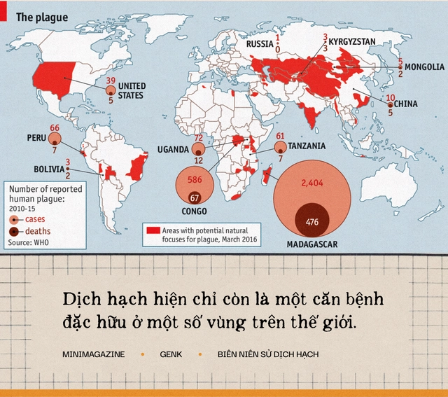 Một biên niên sử về dịch hạch tại Việt Nam và "Cái chết đen" từng xóa sổ 50% dân số Châu Âu trong quá khứ- Ảnh 22. Một biên niên sử về dịch hạch tại Việt Nam và "Cái chết đen" từng xóa sổ 50% dân số Châu Âu trong quá khứ- Ảnh 22.