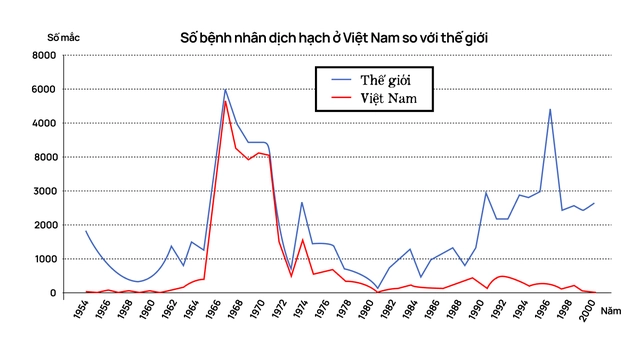 Một biên niên sử về dịch hạch tại Việt Nam và "Cái chết đen" từng xóa sổ 50% dân số Châu Âu trong quá khứ- Ảnh 26. Một biên niên sử về dịch hạch tại Việt Nam và "Cái chết đen" từng xóa sổ 50% dân số Châu Âu trong quá khứ- Ảnh 26.