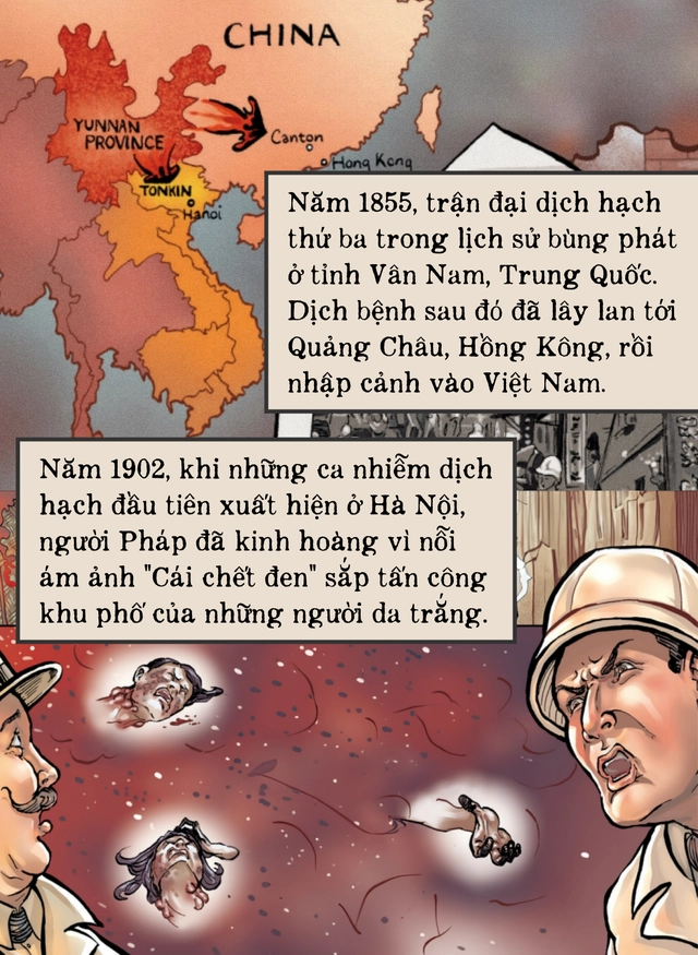 Một biên niên sử về dịch hạch tại Việt Nam và "Cái chết đen" từng xóa sổ 50% dân số Châu Âu trong quá khứ- Ảnh 5. Một biên niên sử về dịch hạch tại Việt Nam và "Cái chết đen" từng xóa sổ 50% dân số Châu Âu trong quá khứ- Ảnh 5.