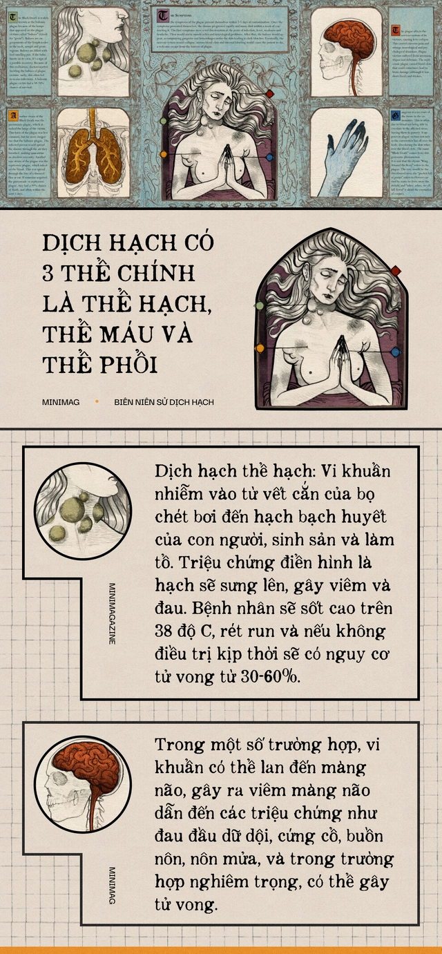 Một biên niên sử về dịch hạch tại Việt Nam và "Cái chết đen" từng xóa sổ 50% dân số Châu Âu trong quá khứ- Ảnh 11. Một biên niên sử về dịch hạch tại Việt Nam và "Cái chết đen" từng xóa sổ 50% dân số Châu Âu trong quá khứ- Ảnh 11.