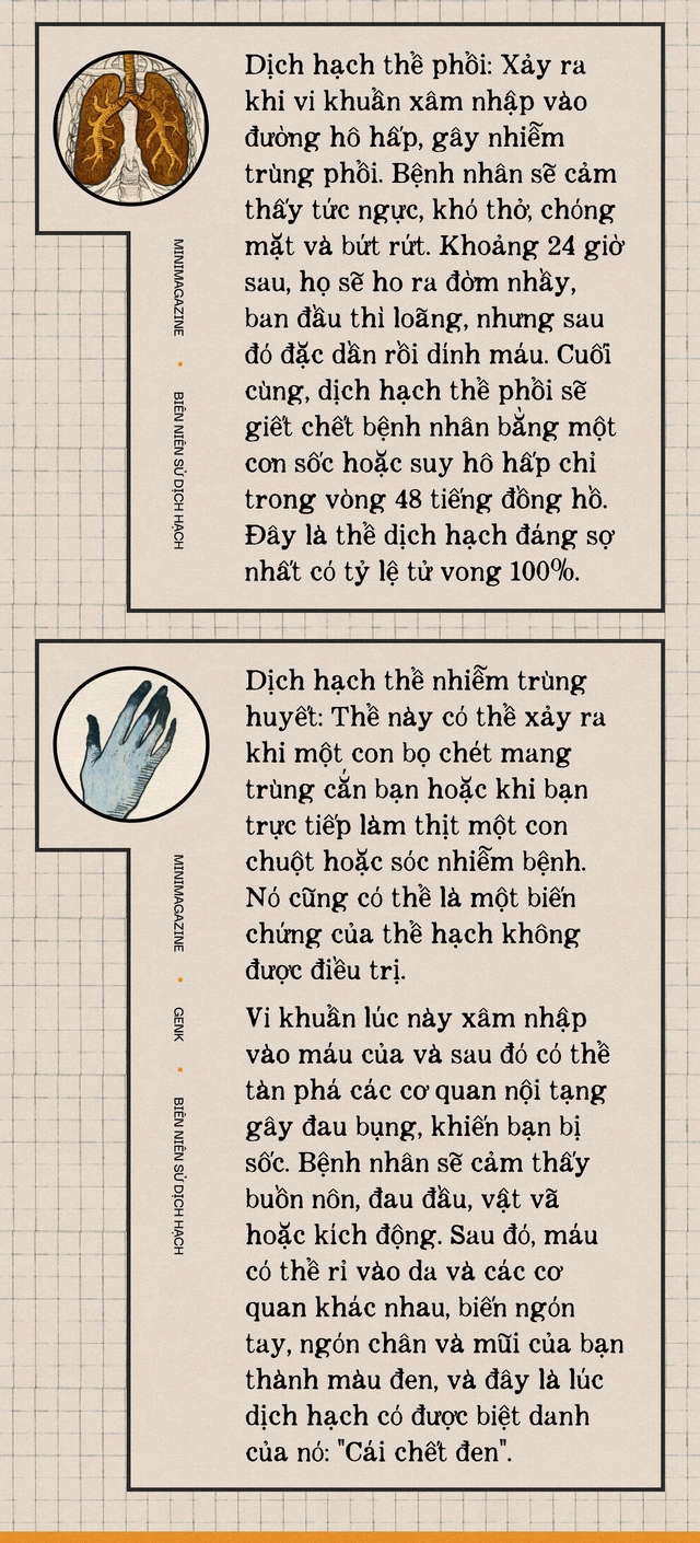 Một biên niên sử về dịch hạch tại Việt Nam và "Cái chết đen" từng xóa sổ 50% dân số Châu Âu trong quá khứ- Ảnh 12. Một biên niên sử về dịch hạch tại Việt Nam và "Cái chết đen" từng xóa sổ 50% dân số Châu Âu trong quá khứ- Ảnh 12.
