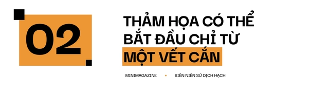 Một biên niên sử về dịch hạch tại Việt Nam và "Cái chết đen" từng xóa sổ 50% dân số Châu Âu trong quá khứ- Ảnh 7. Một biên niên sử về dịch hạch tại Việt Nam và "Cái chết đen" từng xóa sổ 50% dân số Châu Âu trong quá khứ- Ảnh 7.